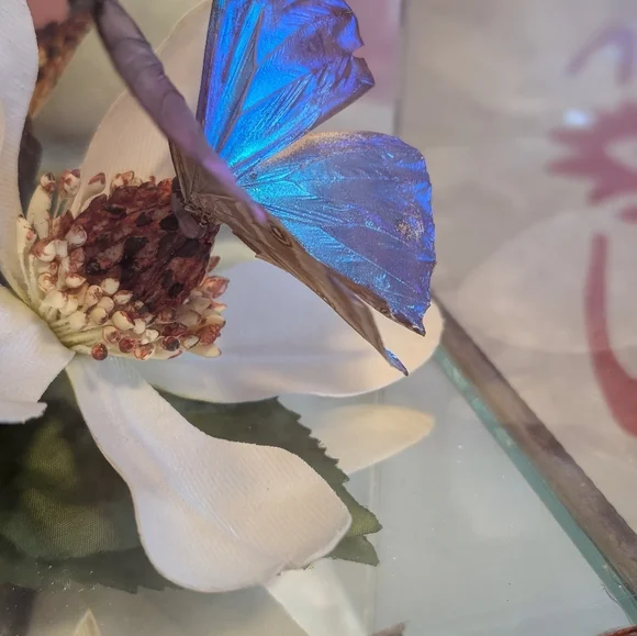 Butterfly Taxidermy Iridescent Blue Glass Dome - Picture 3 of 10